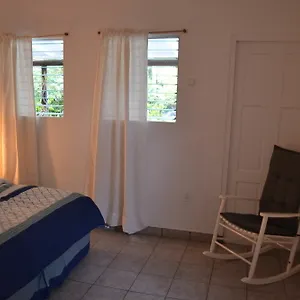 https://palm-trees-apartments.comcaribbean.com